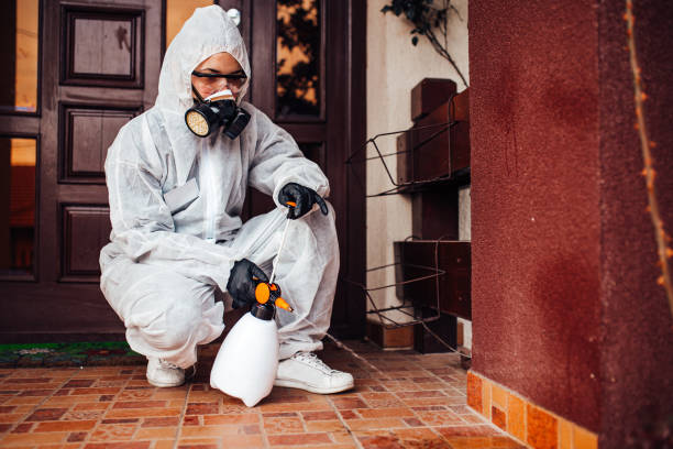 Reliable Termite Control contractor in Berwick, PA by Nex Pest Control